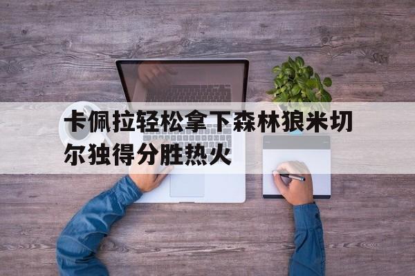 关于卡佩拉轻松拿下森林狼米切尔独得分胜热火的信息